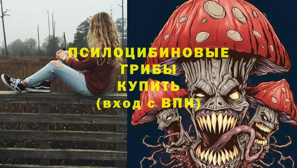 спиды Куйбышев