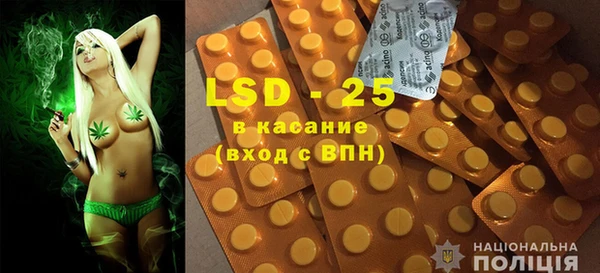 сатива Тольятти