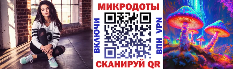 Псилоцибиновые грибы Magic Shrooms  Каргат 